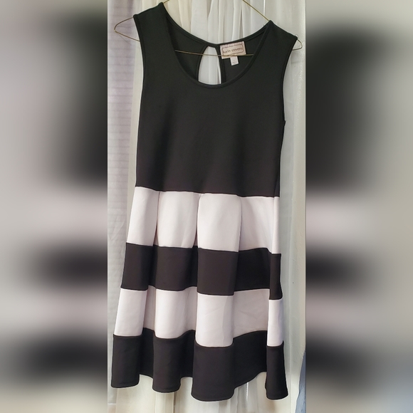 karin stevens Dresses & Skirts - Dress, (Karin Stevens)